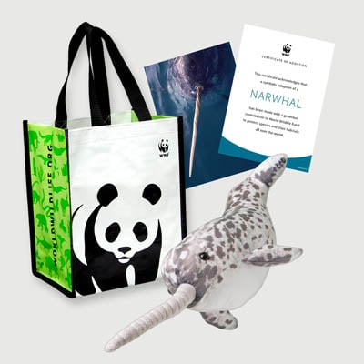 $75 WWF adoption kit with soft plush, gift bag, spotlight card and certificate
