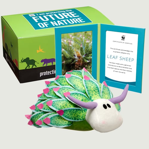 $100 WWF adoption kit with soft plush, gift box, hinged frame, spotlight card and certificate