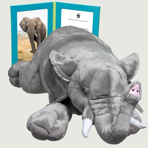$250 WWF adoption kit with plush, gift box, hinged frame, spotlight card and certificate