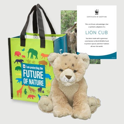 lion cub Plush adoption kit