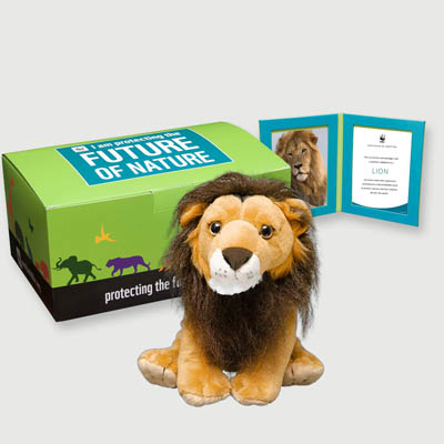 lion Plush, box + frame adoption kit