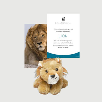 lion Mini plush adoption kit