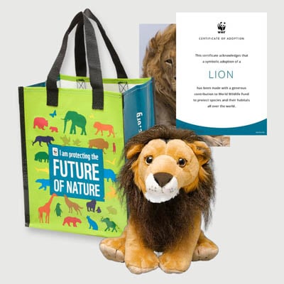 lion Plush adoption kit