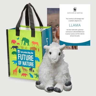 llama Plush adoption kit