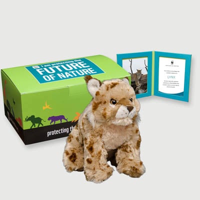 lynx Plush, box + frame adoption kit
