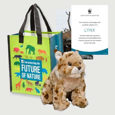 lynx Plush adoption kit