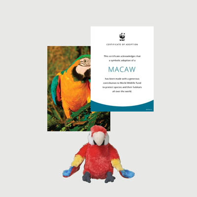 macaw Mini plush adoption kit