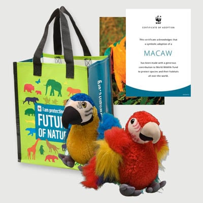 macaw Plush adoption kit