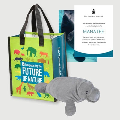 manatee Plush adoption kit