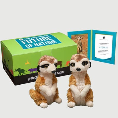 meerkat Plush, box + frame adoption kit