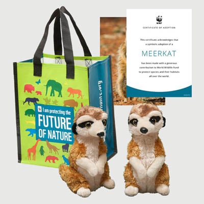 meerkat Plush adoption kit