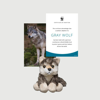 mexican gray wolf Mini plush adoption kit