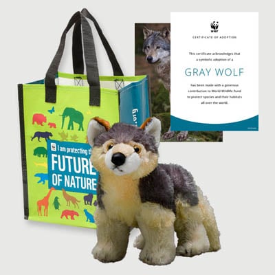 mexican gray wolf Plush adoption kit