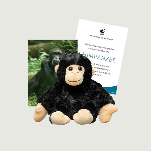 $50 WWF adoption kit with mini plush, spotlight card and certificate