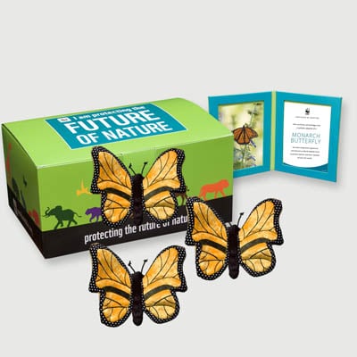 monarch butterfly Plush, box + frame adoption kit