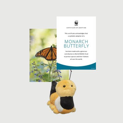 monarch butterfly Mini plush adoption kit