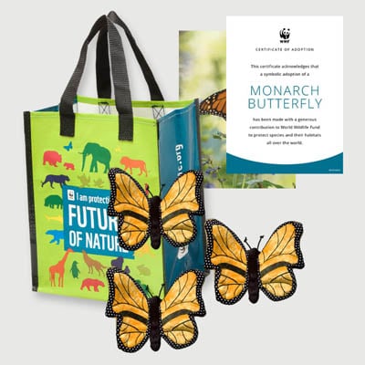 monarch butterfly Plush adoption kit