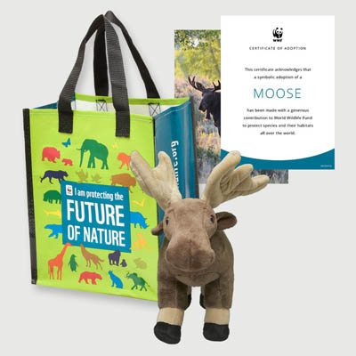 moose Plush adoption kit