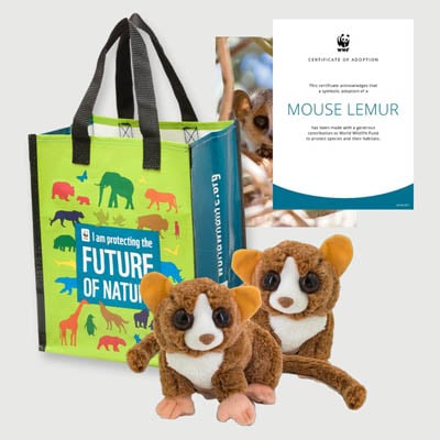 mouse lemur Plush adoption kit