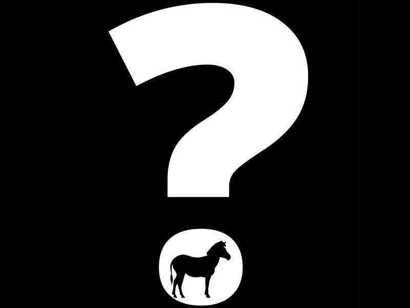Mystery adoption - surprise species will be revealed
