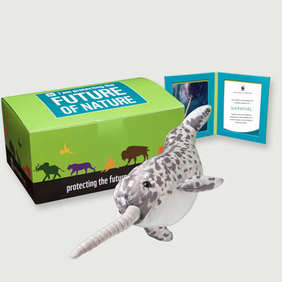 narwhal Plush, box + frame adoption kit