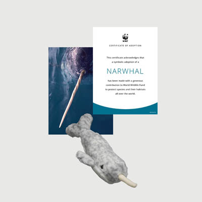narwhal Mini plush adoption kit
