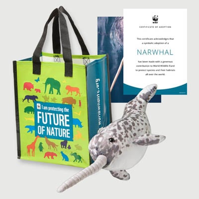 narwhal Plush adoption kit