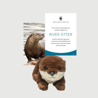 north american river otter Mini plush adoption kit