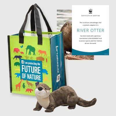 north american river otter Plush adoption kit