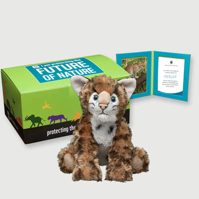 ocelot Plush, box + frame adoption kit