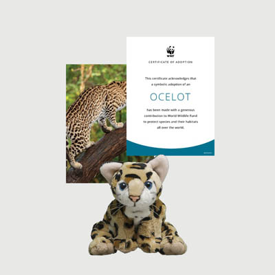 ocelot Mini plush adoption kit