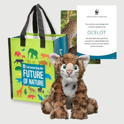 ocelot Plush adoption kit