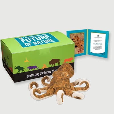octopus Plush, box + frame adoption kit