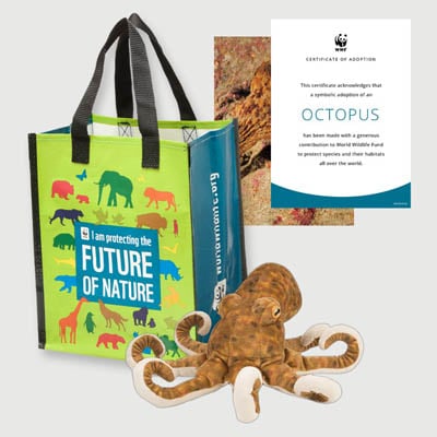 octopus Plush adoption kit