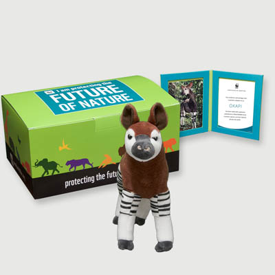 okapi Plush, box + frame adoption kit