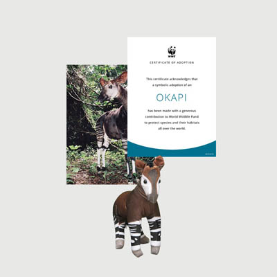 okapi Mini plush adoption kit