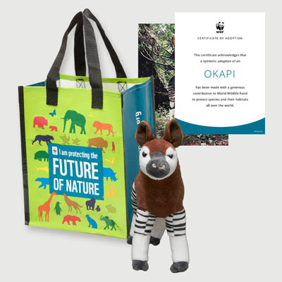 okapi Plush adoption kit