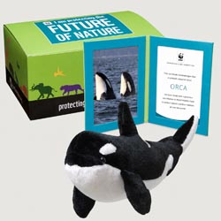orca Plush, box + frame adoption kit