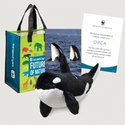 orca Plush adoption kit
