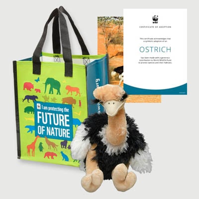 ostrich Plush adoption kit