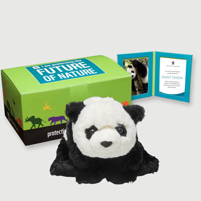 panda Plush, box + frame adoption kit