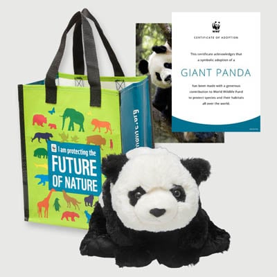 panda Plush adoption kit