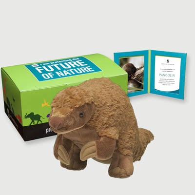 pangolin Plush, box + frame adoption kit