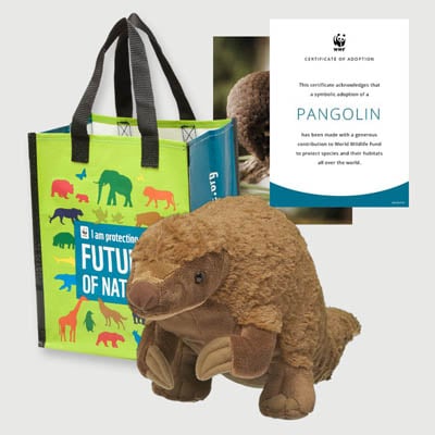 pangolin Plush adoption kit