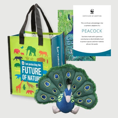 peacock Plush adoption kit