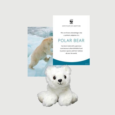 polar bear Mini plush adoption kit