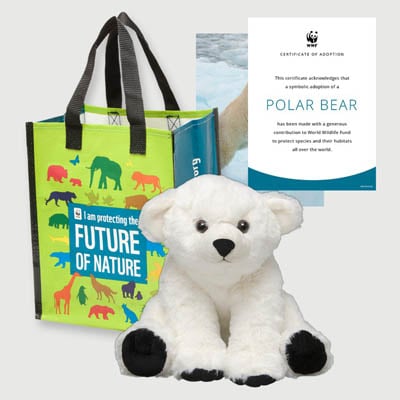 polar bear Plush adoption kit