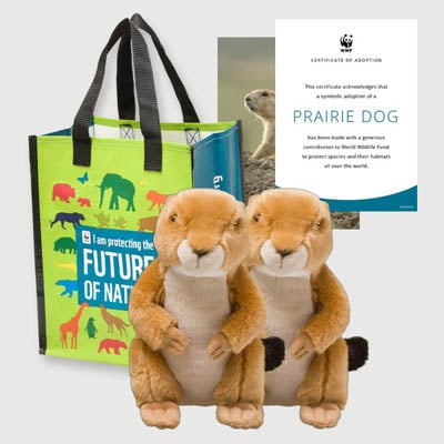 prairie dog Plush adoption kit