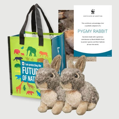 pygmy rabbit Plush adoption kit