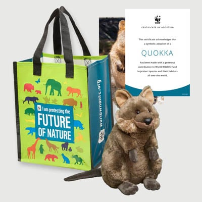 quokka Plush adoption kit